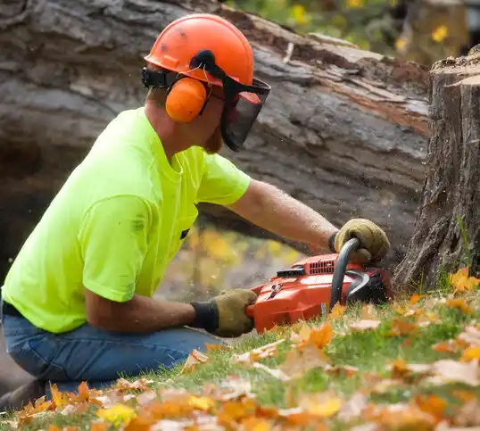 tree services Port Vincent